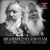 Brahms / Segerstam: Symphony No.1 / Symphony No.288 (1 SACD)